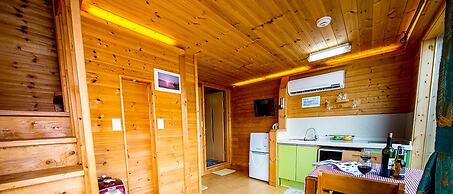 Blue in Blue Pension