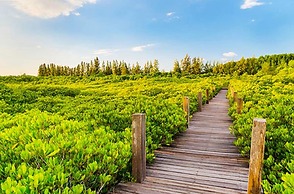 Holiday Inn & Suites Rayong City Centre by IHG