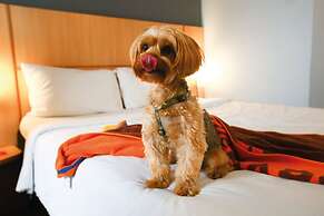 ibis budget Rio de Janeiro Nova America