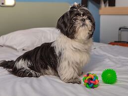 ibis budget Sp Frei Caneca