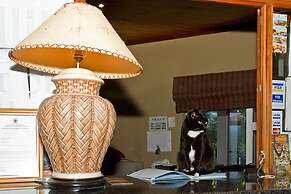 Out of Africa Town Lodge