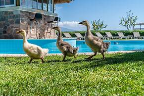 Assos Alis Farm Boutique Hotel & SPA
