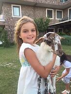 Assos Alis Farm Boutique Hotel & SPA