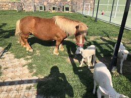 Assos Alis Farm Boutique Hotel & SPA