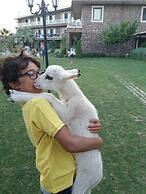 Assos Alis Farm Boutique Hotel & SPA