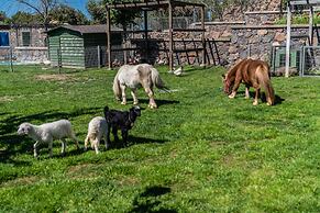 Assos Alis Farm Boutique Hotel & SPA