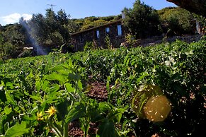 Assos Alis Farm Boutique Hotel & SPA