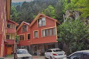 Uzungol Soylu Hotel