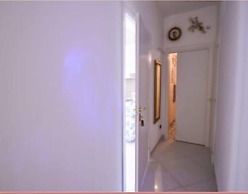 Central House Monica