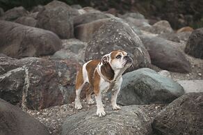 Hakuba Log Hotel Meteor
