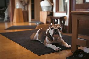 Hakuba Log Hotel Meteor