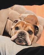 Hakuba Log Hotel Meteor