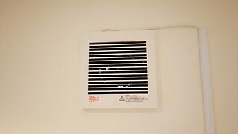 Bigtree Guest House - Hostel