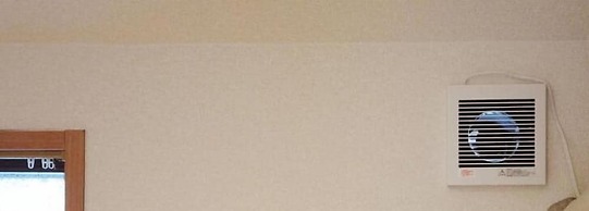 Bigtree Guest House - Hostel