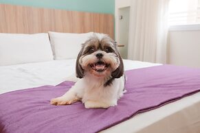 Transamerica Fit Campinas