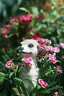 Ancient Street No.5 Youth Chic Hotel