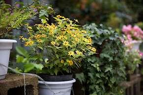 Ancient Street No.5 Youth Chic Hotel