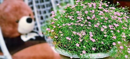 Ancient Street No.5 Youth Chic Hotel