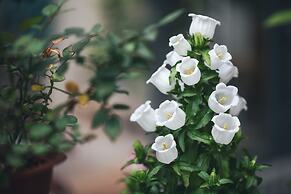 Ancient Street No.5 Youth Chic Hotel