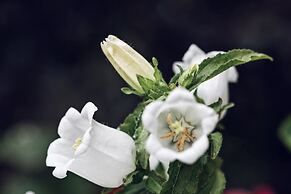 Ancient Street No.5 Youth Chic Hotel