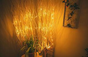 Ancient Street No.5 Youth Chic Hotel