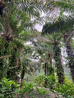 Villa Nap Dau 10 Bedrooms