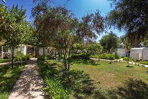 S3 Seahorse Beach Club & Hotel