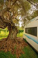 S3 Seahorse Beach Club & Hotel