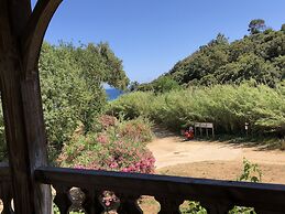 Le clos des sept palmiers