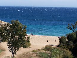 Le clos des sept palmiers