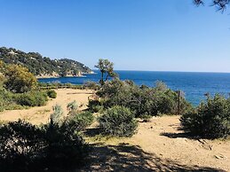 Le clos des sept palmiers