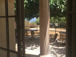 Le clos des sept palmiers