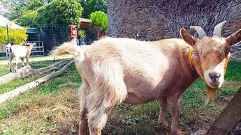 Glamping Terre & Mer