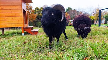 Glamping Terre & Mer