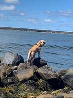 Whispering Waves Cottages