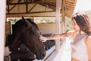 Resort Fazenda 3 Pinheiros