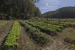 Resort Fazenda 3 Pinheiros
