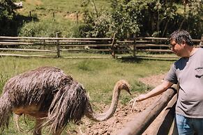 Resort Fazenda 3 Pinheiros