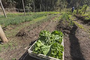 Resort Fazenda 3 Pinheiros