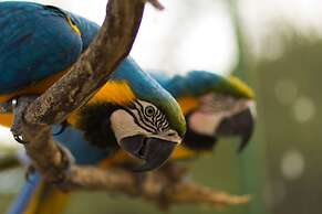 Resort Fazenda 3 Pinheiros