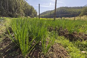 Resort Fazenda 3 Pinheiros