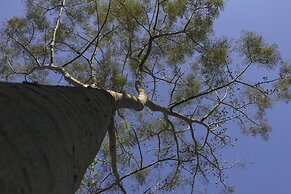 Resort Fazenda 3 Pinheiros