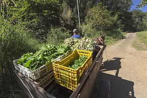 Resort Fazenda 3 Pinheiros