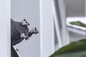 Resort Fazenda 3 Pinheiros