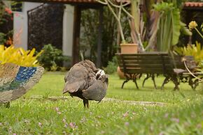 Resort Fazenda 3 Pinheiros