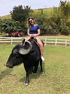 Resort Fazenda 3 Pinheiros