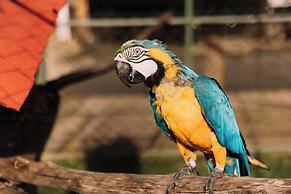 Resort Fazenda 3 Pinheiros