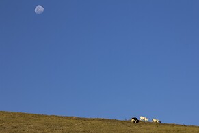 Resort Fazenda 3 Pinheiros