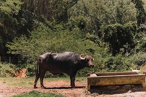 Resort Fazenda 3 Pinheiros