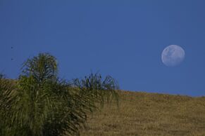 Resort Fazenda 3 Pinheiros